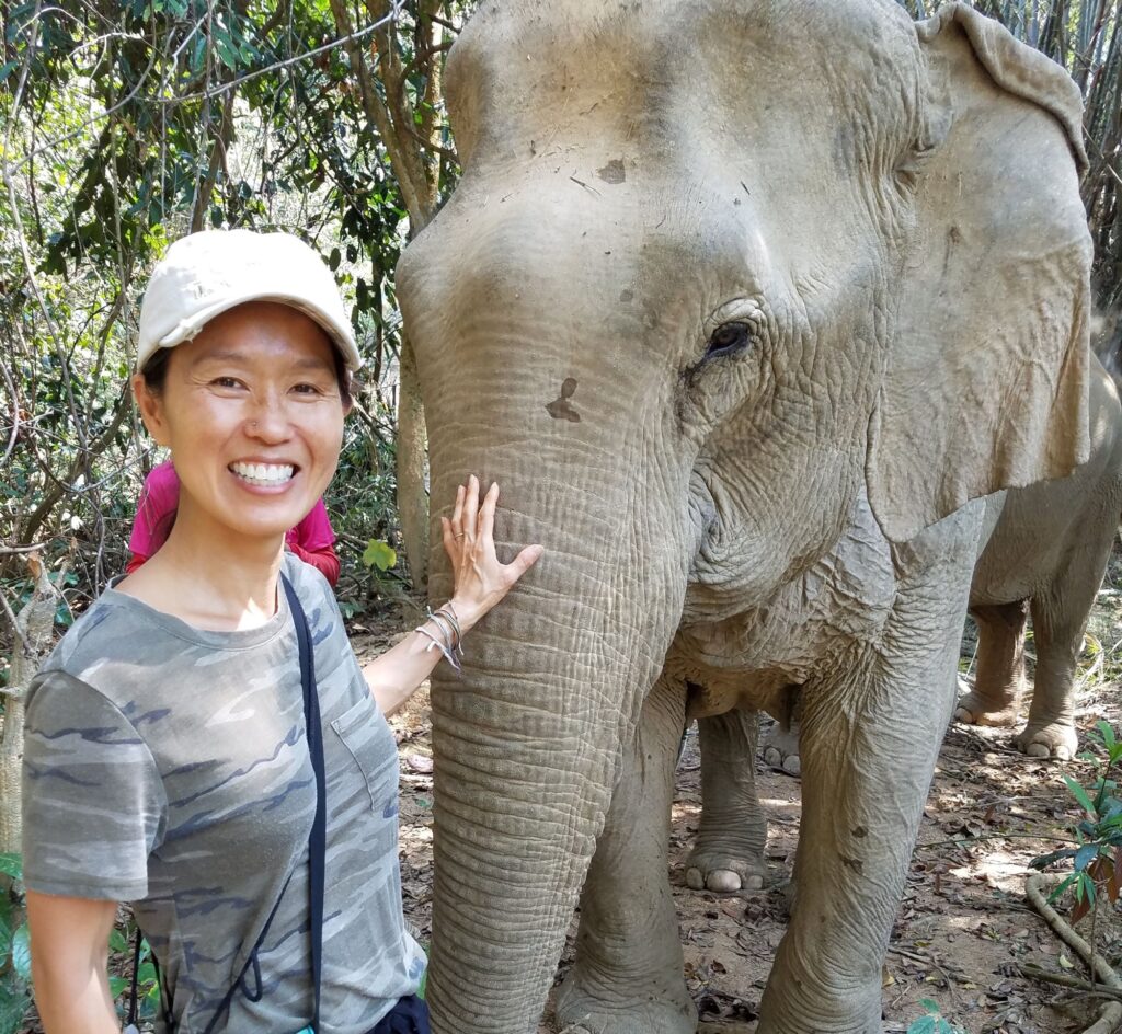 Elephant sanctuary in Luang Prabang, Laos