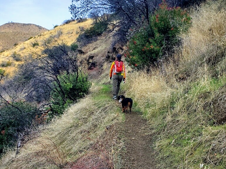 Hiking Fiske Peak Trail