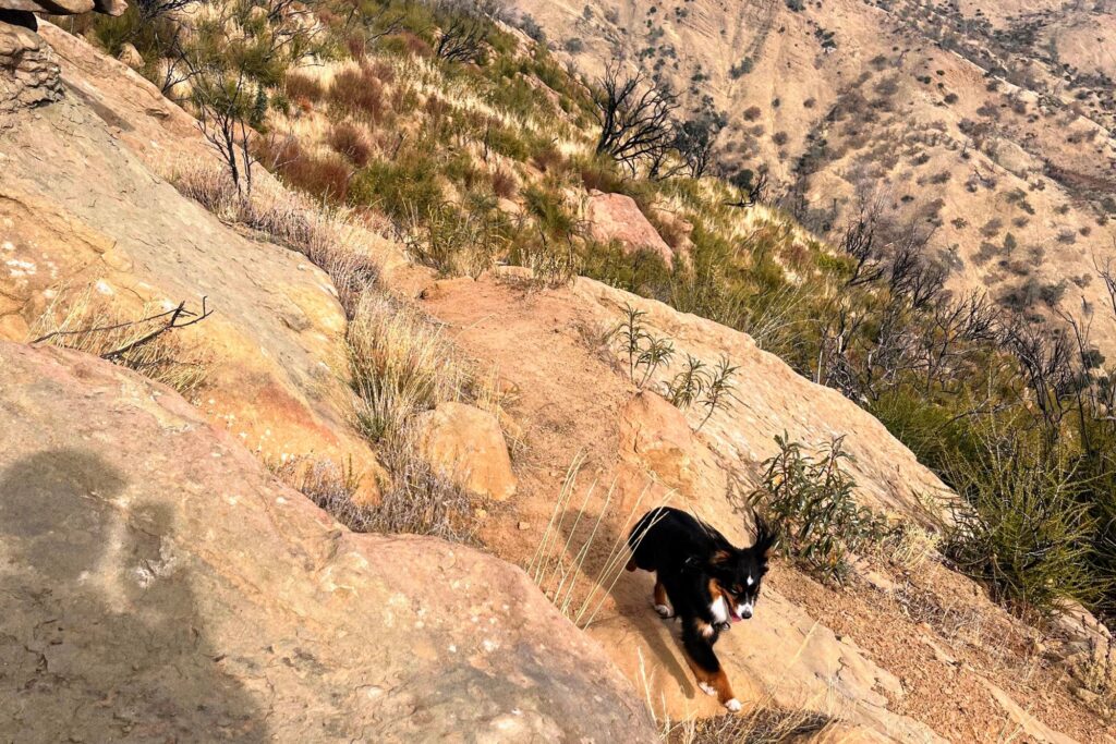 Shadow hiking