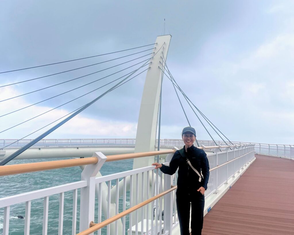 Skywalk in Blueline Park