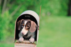 how to sort and store your mail