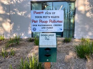 Clean up dog waste