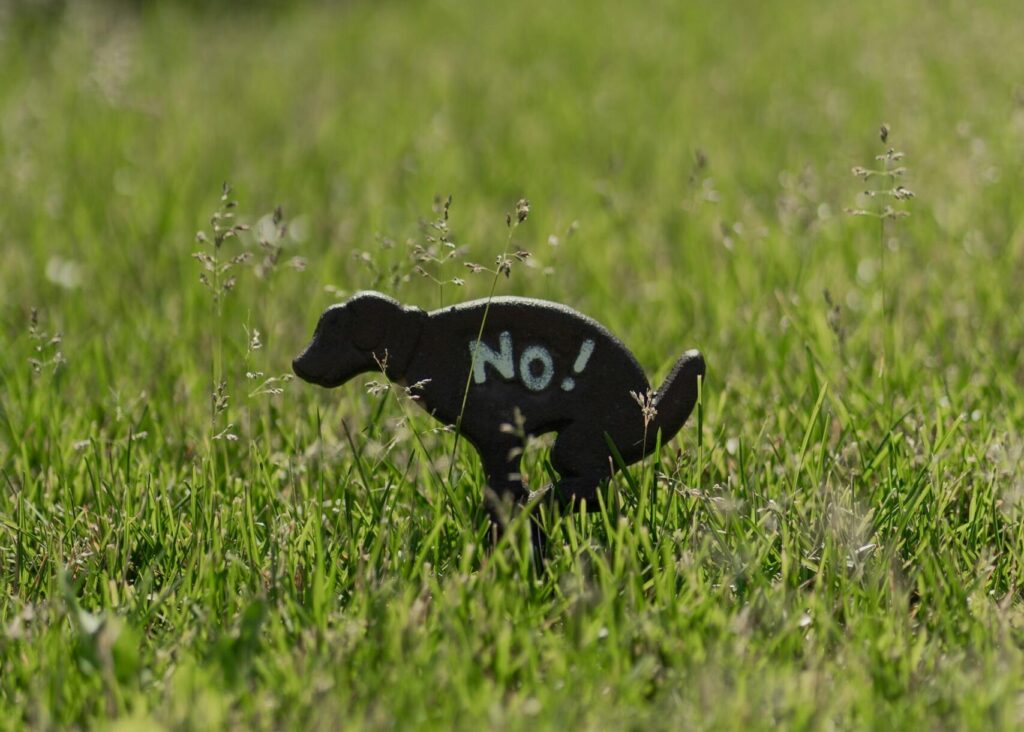 Cleaning up after your pet is good for the environment and health