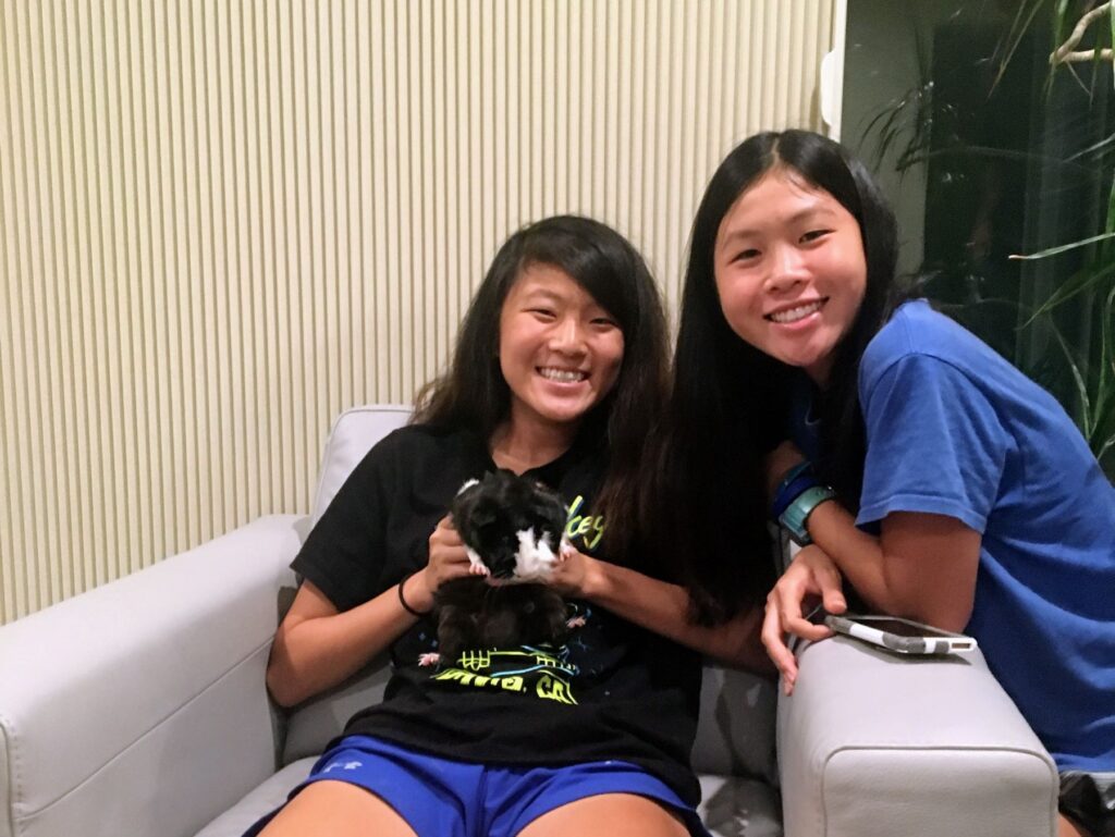 My daughters taking care of their pet, Guinea pig