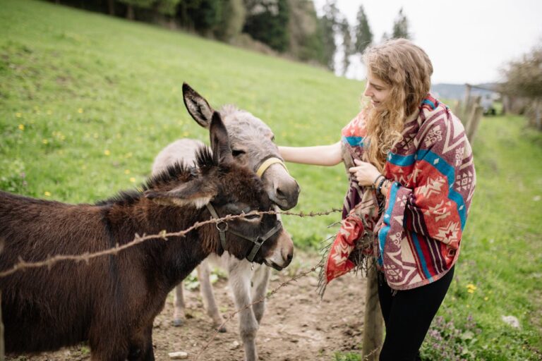 What is Veganism?