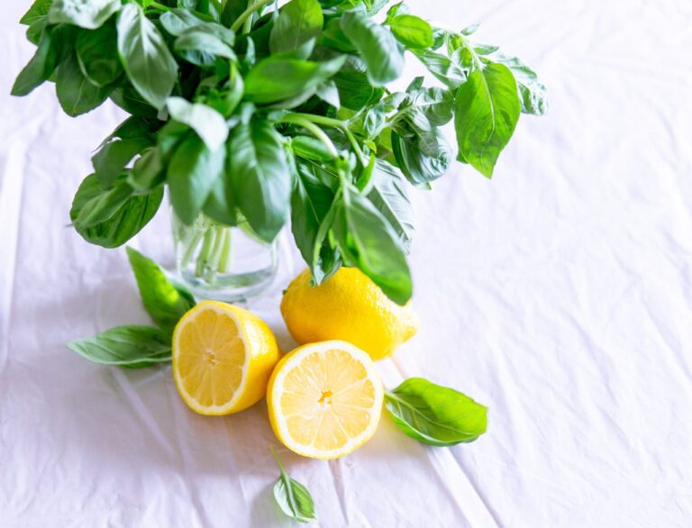 Top benefits of lemons