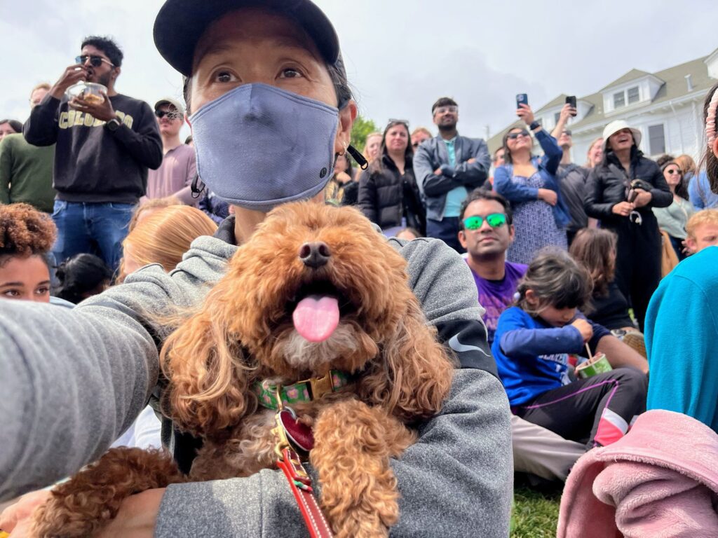 Attending a dog Show in San Francisco